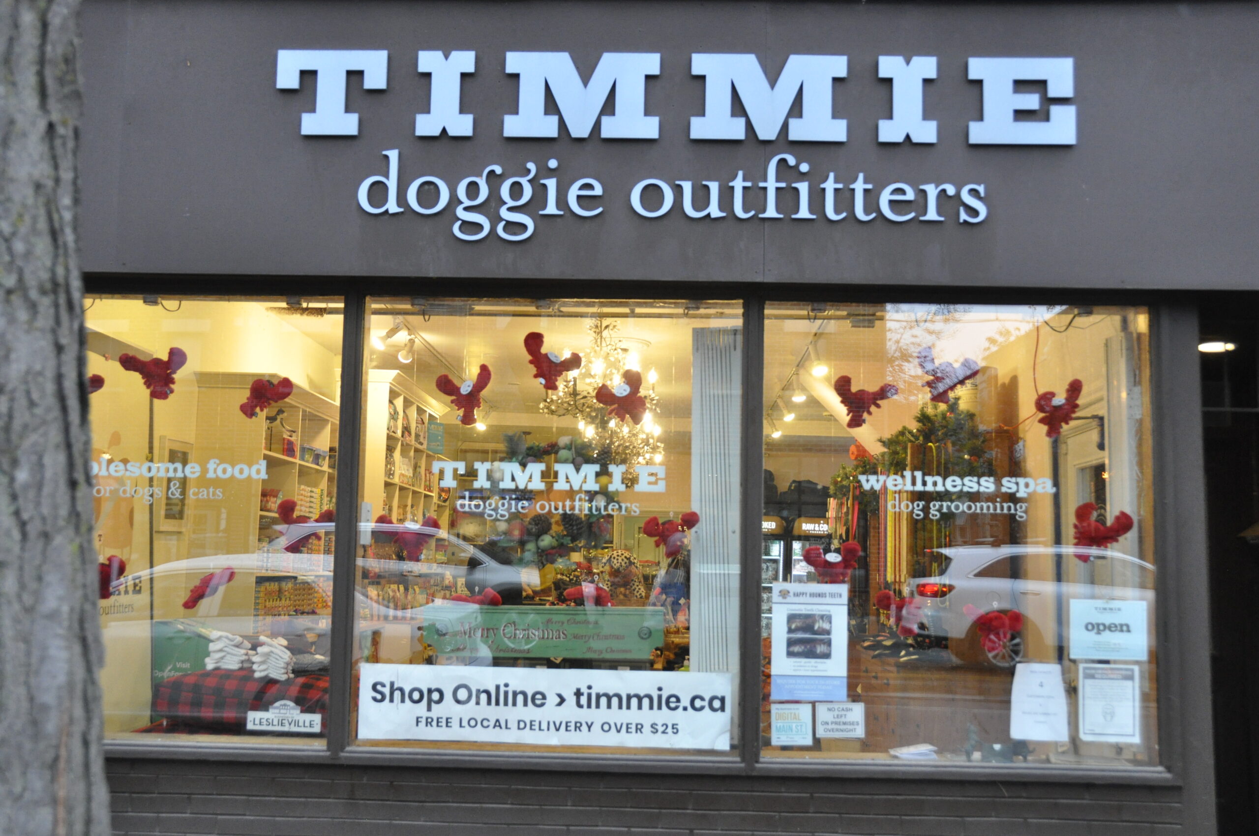 Timmie Dog Outfitters